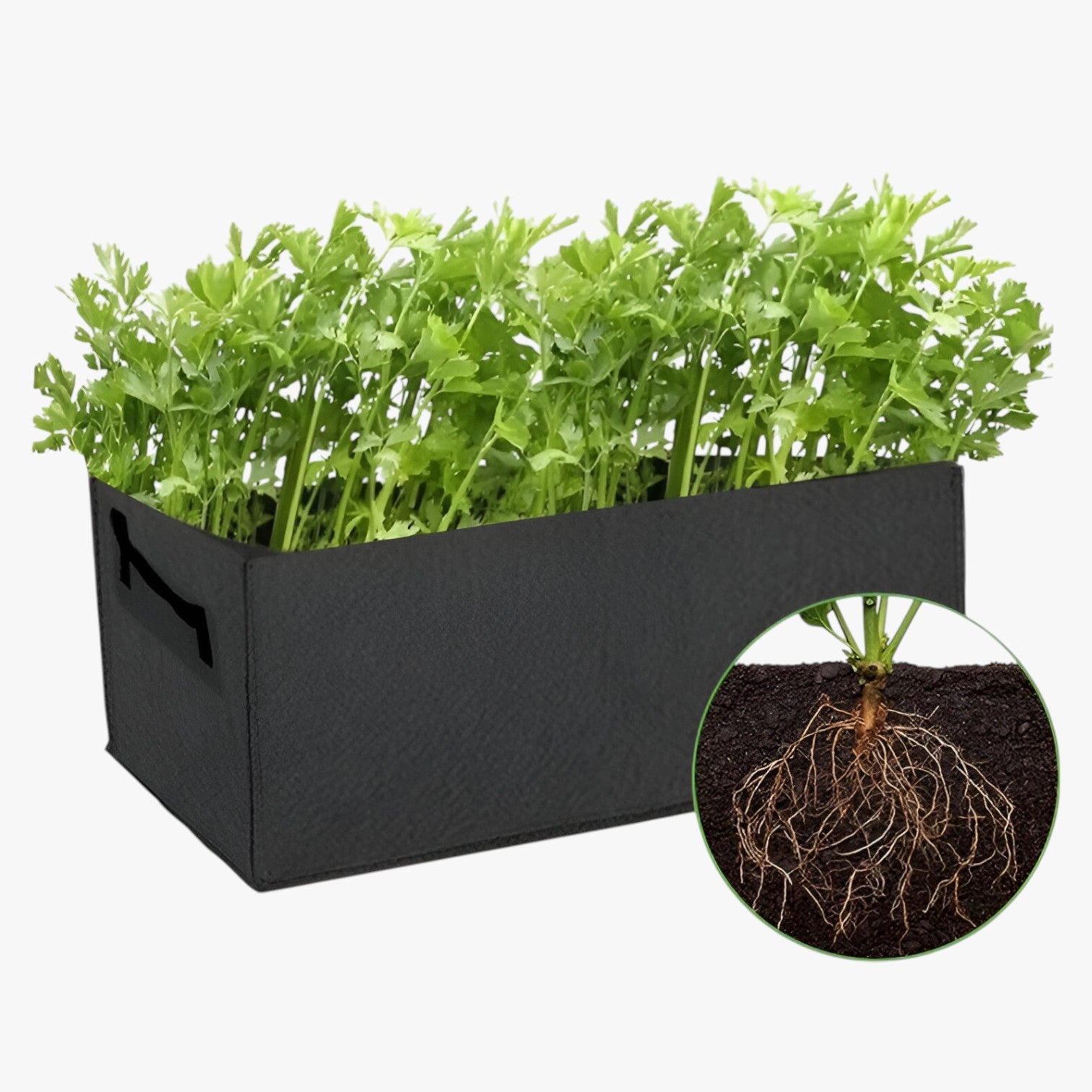 Robyn | Sacchetto per la Crescita da Gallone – Spazio-risparmiatore, durevole e sana crescita delle piante - - Garden Garden supplies Home & Garden - Concept Palermo
