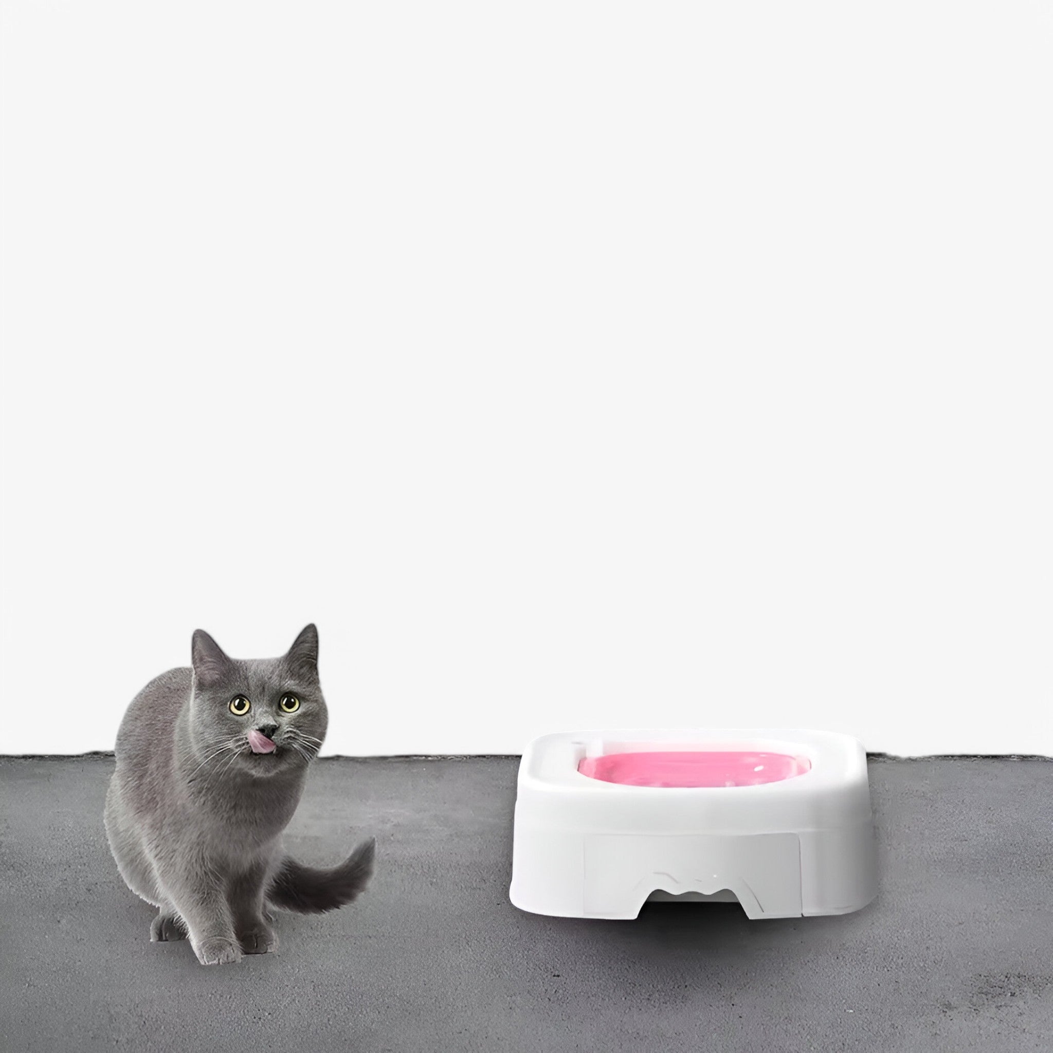 Luna | Set di addestramento per la toilette Kat - - - Concept Palermo