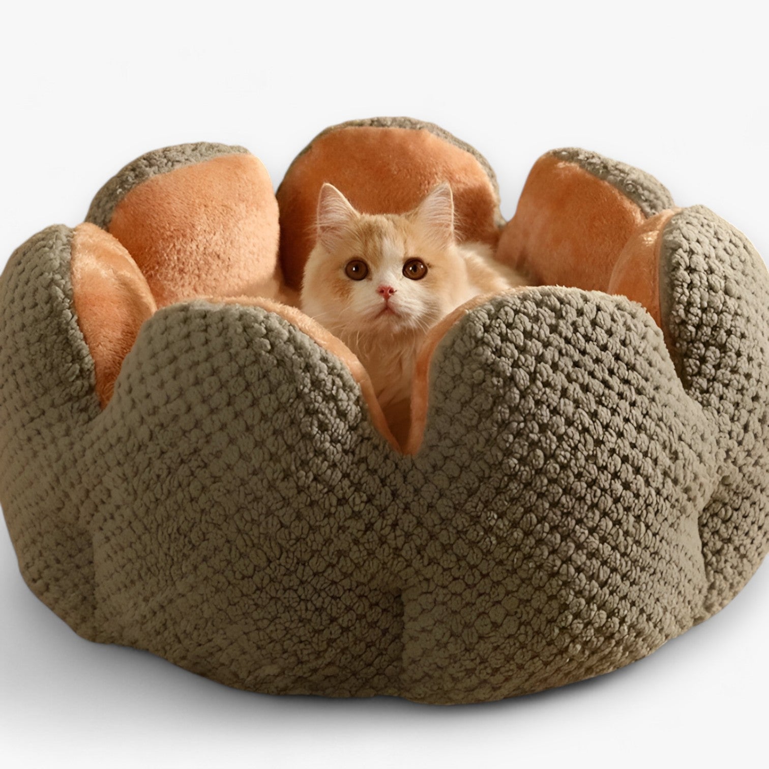 Addie | Fluffy Bloemhuis – Caldo & Accogliente per Gatti e Cuccioli - grigio - pet pet bed PET SUPPLIES - Concept Palermo