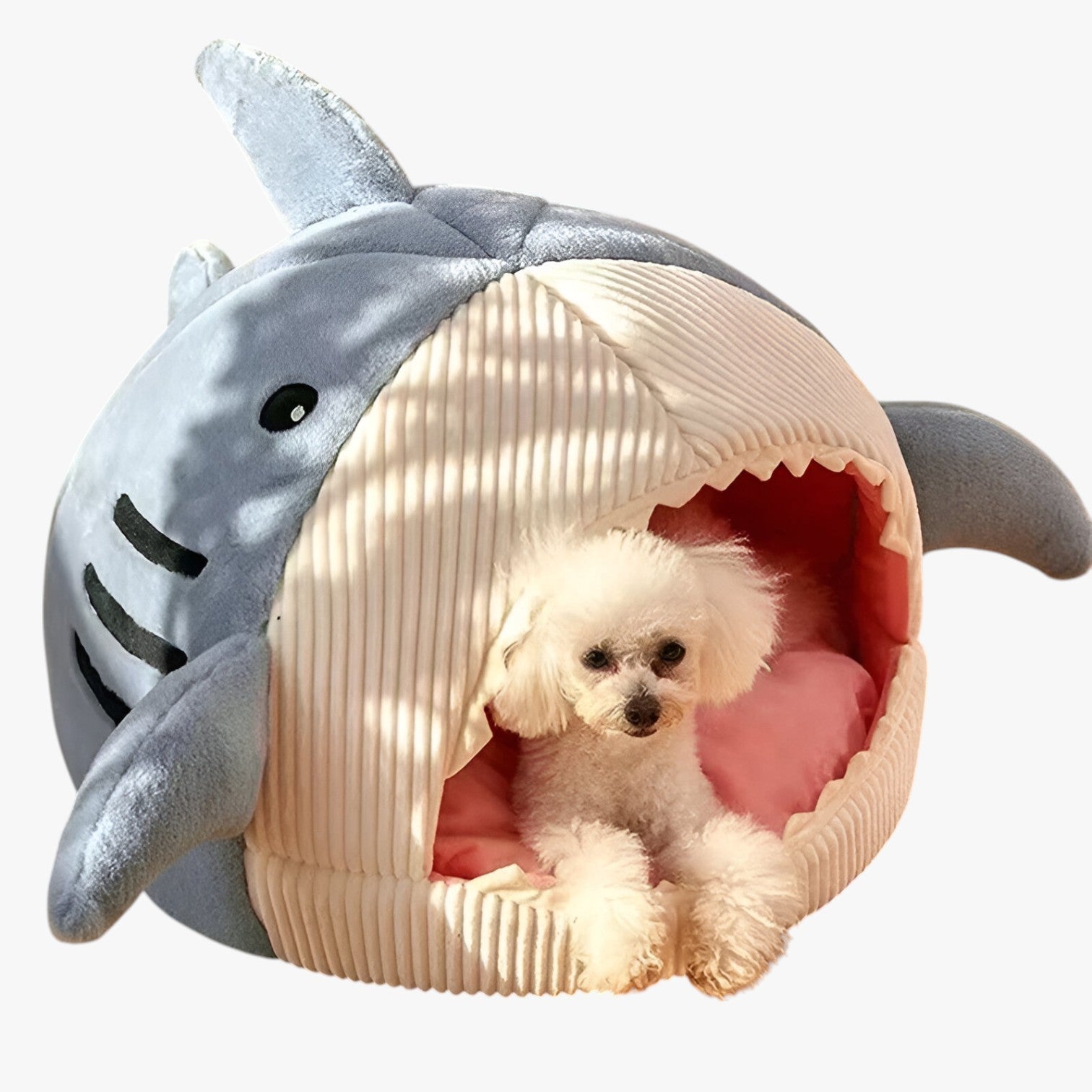 Colin | Cuccia per gatti calda e accogliente - - pet pet bed PET SUPPLIES pet's bed petproduct Pets - Concept Palermo