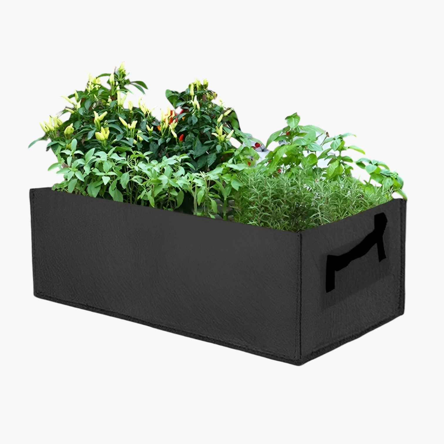 Robyn | Sacchetto per la Crescita da Gallone – Spazio-risparmiatore, durevole e sana crescita delle piante - - Garden Garden supplies Home & Garden - Concept Palermo