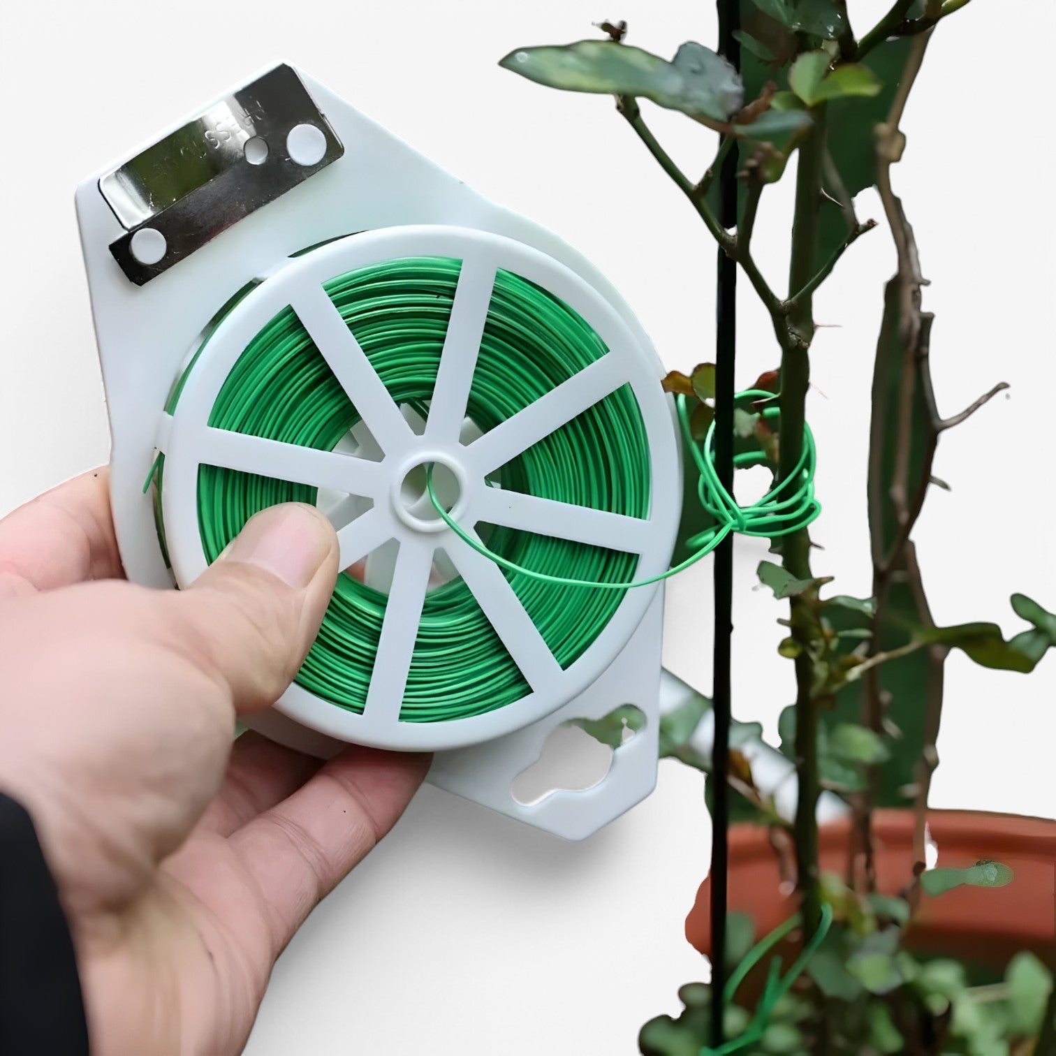 Dariel | Pianta da Giardino con Filo e Strumento da Taglio per Sostegno - - Garden Garden accessories Home & Garden - Concept Palermo