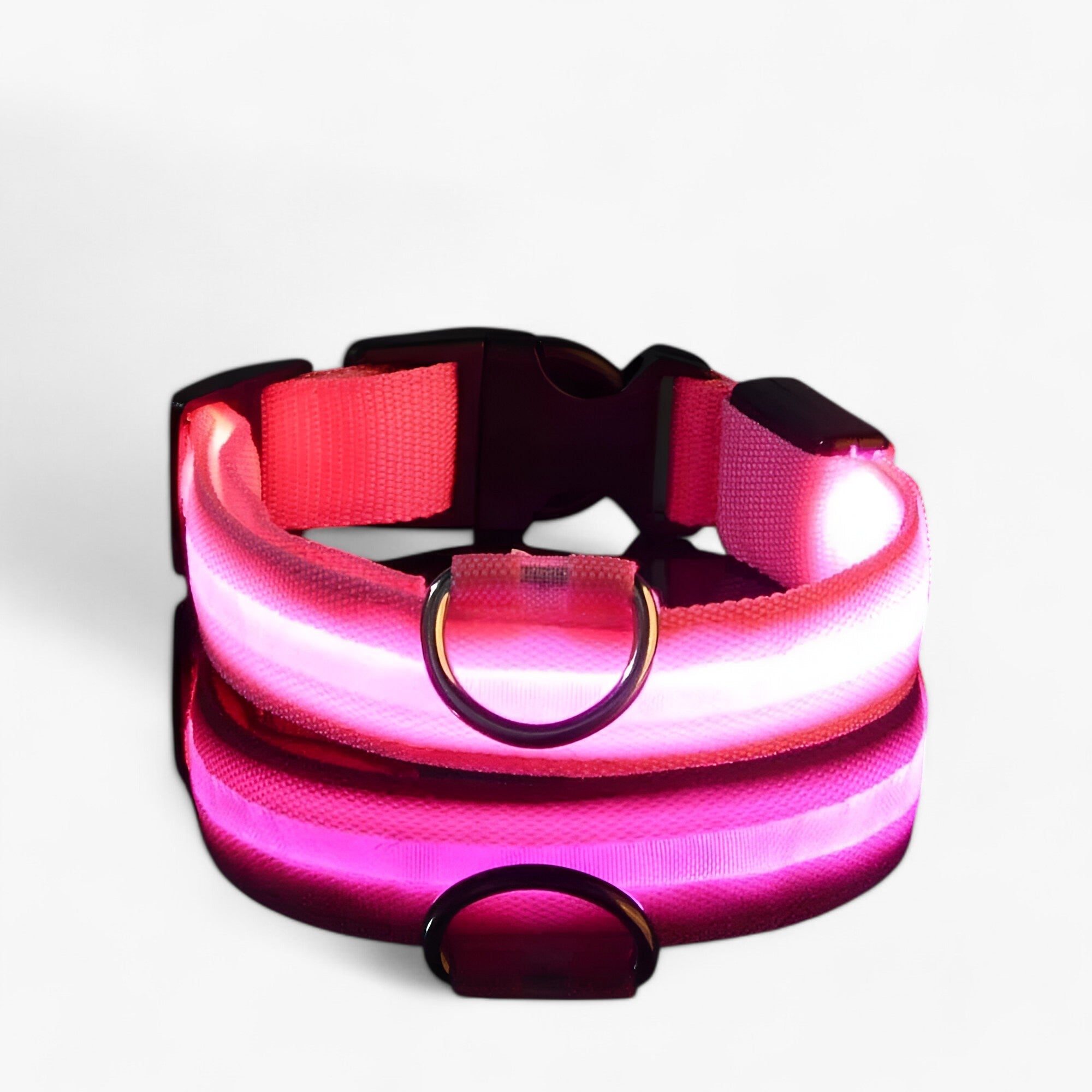 Lumi | Collare LED per Cani Sicuro - Visibile al Buio - Rosa - Dog Collar DOG SUPPLIES Pet supplies - Concept Palermo
