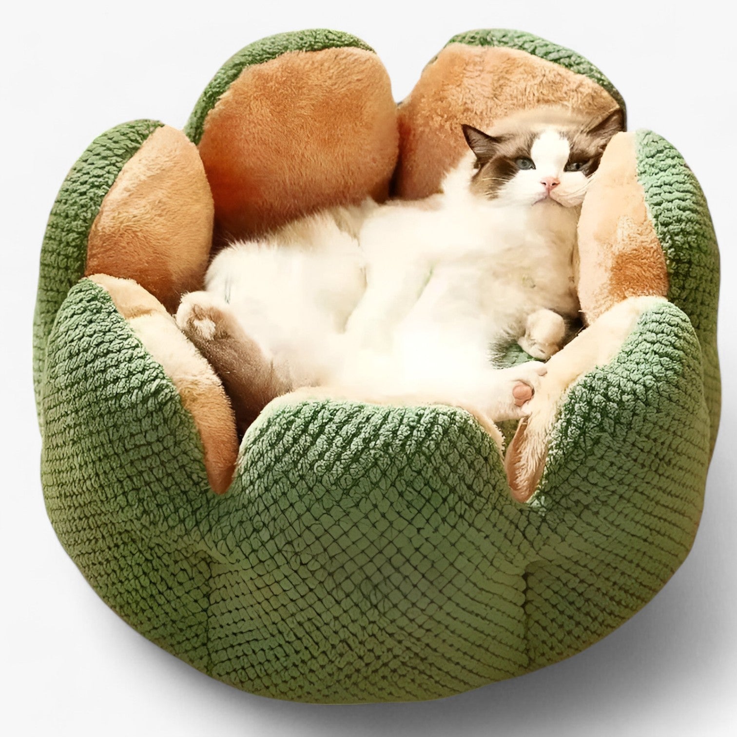 Addie | Fluffy Bloemhuis – Caldo & Accogliente per Gatti e Cuccioli - - pet pet bed PET SUPPLIES - Concept Palermo