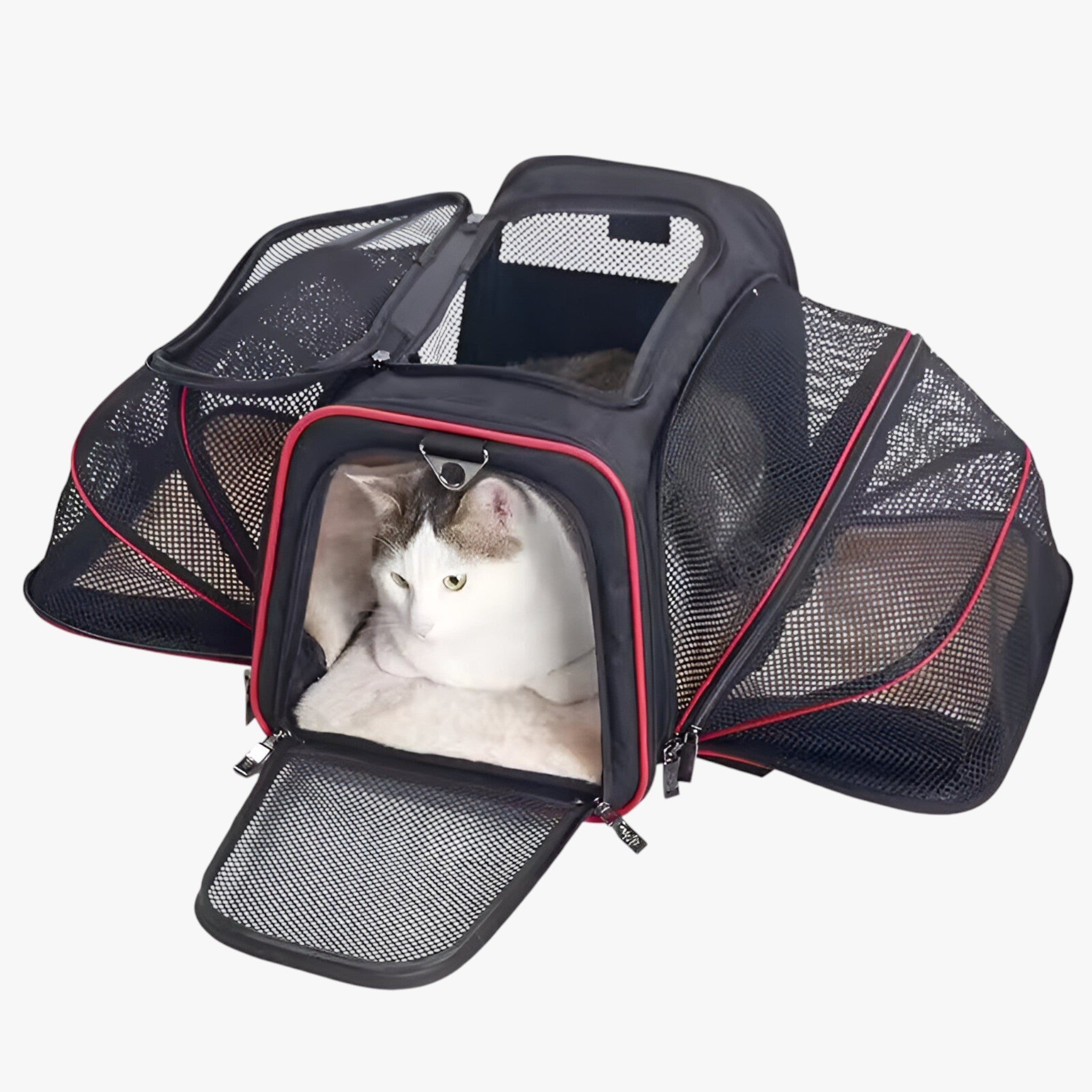 Milo | Zaino Trasportabile per Animali a Maglia e Pieghevole - Rosso - Dog dog bag DOG SUPPLIES - Concept Palermo