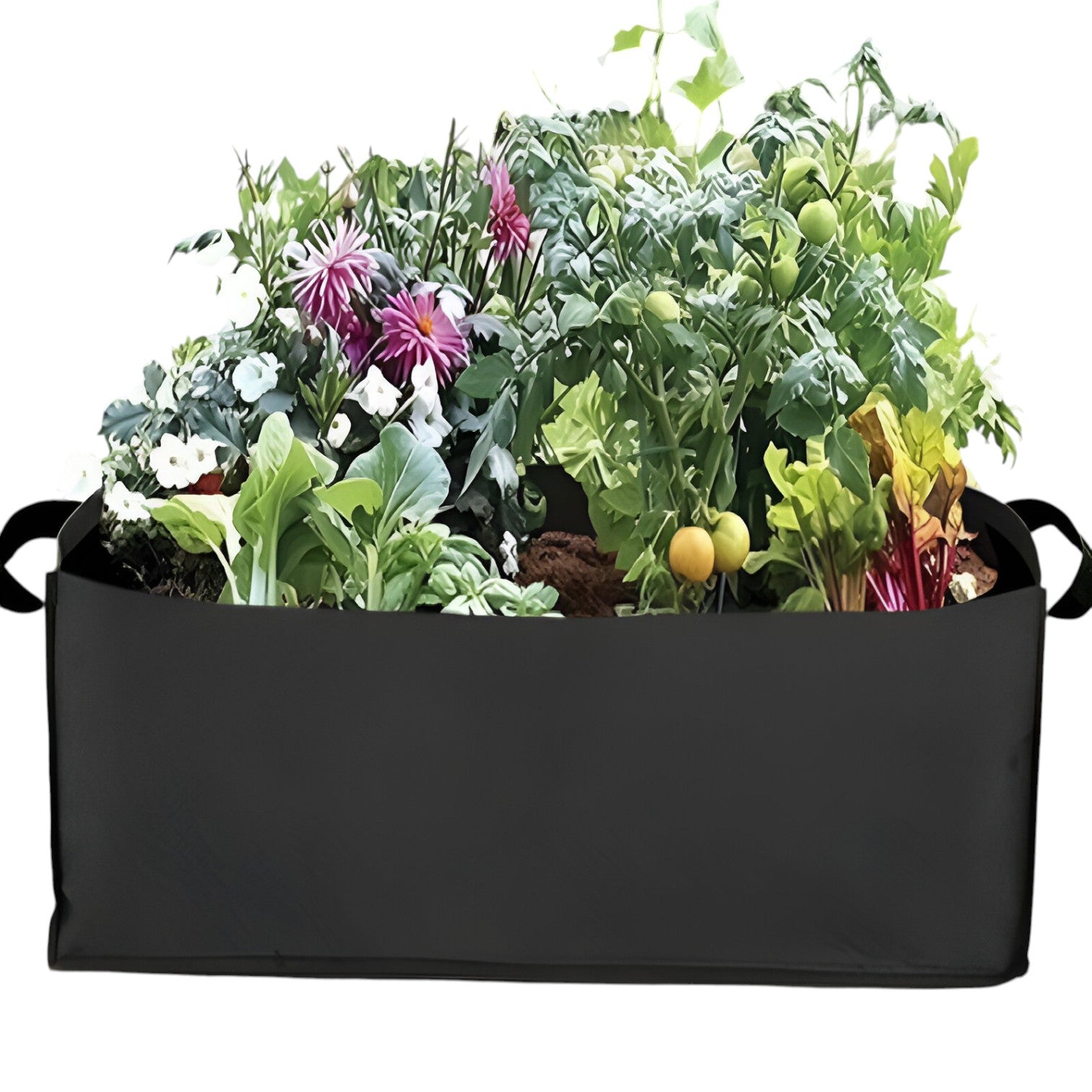 Robyn | Sacchetto per la Crescita da Gallone – Spazio-risparmiatore, durevole e sana crescita delle piante - - Garden Garden supplies Home & Garden - Concept Palermo