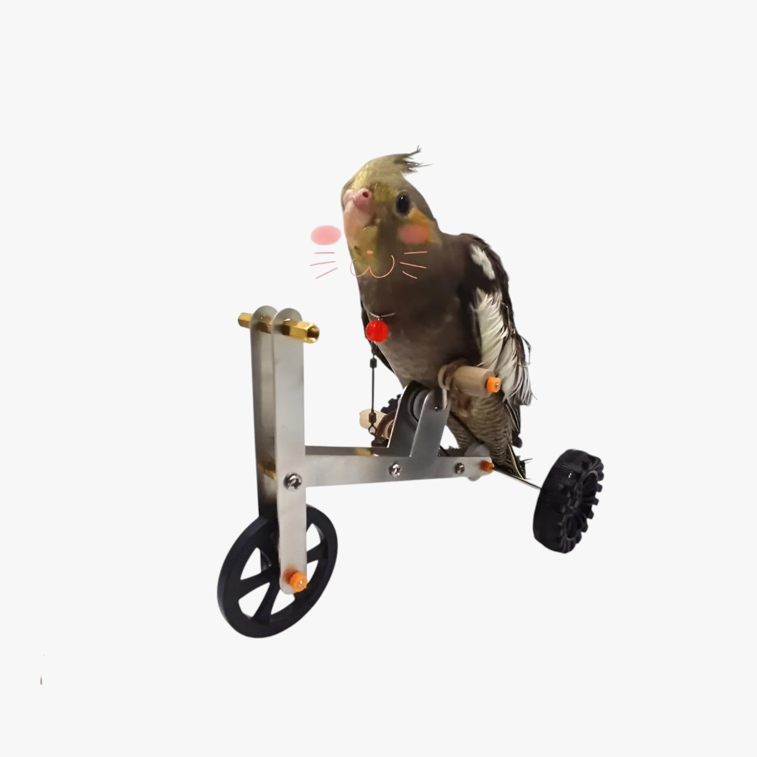 Jada | Bicicletta per il training del pappagallo - Stimola il gioco, il movimento e l'intelligenza - - bird bird toys birdproduct pet PET SUPPLIES - Concept Palermo