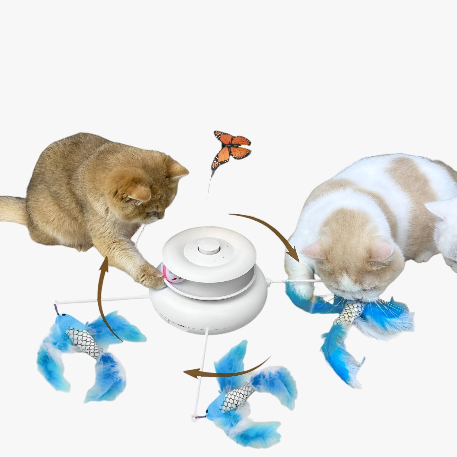 Jacob | Gioco Interattivo 4 in 1 per Gatti Ricaricabile, con Farfalla e Piuma da Inseguire - - pet pet toys petproduct Pets - Concept Palermo