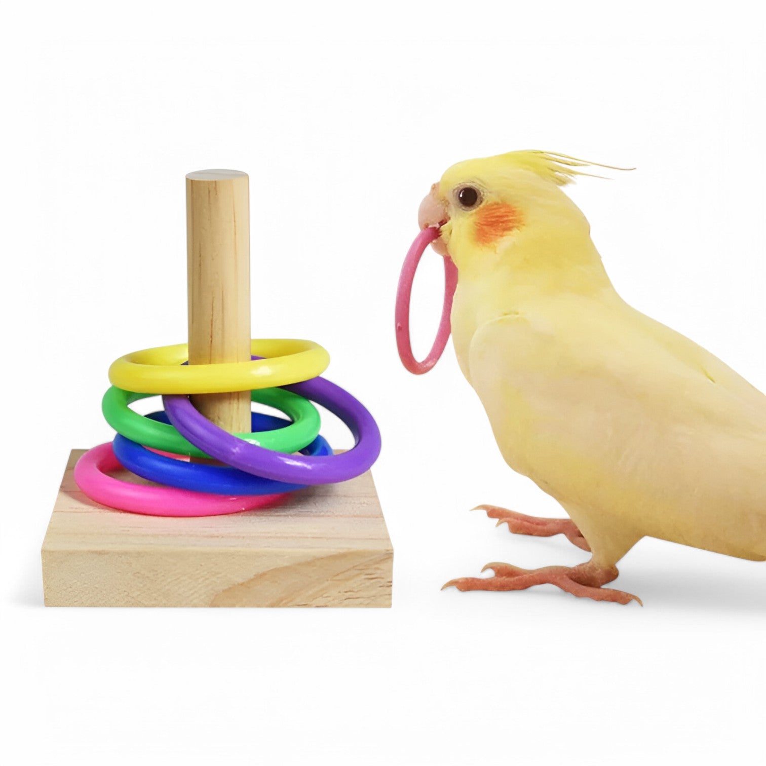 Carrie | Giocattolo per l'addestramento degli uccelli – Stimola intelligenza e divertimento - - bird bird toys birdproduct pet PET SUPPLIES - Concept Palermo