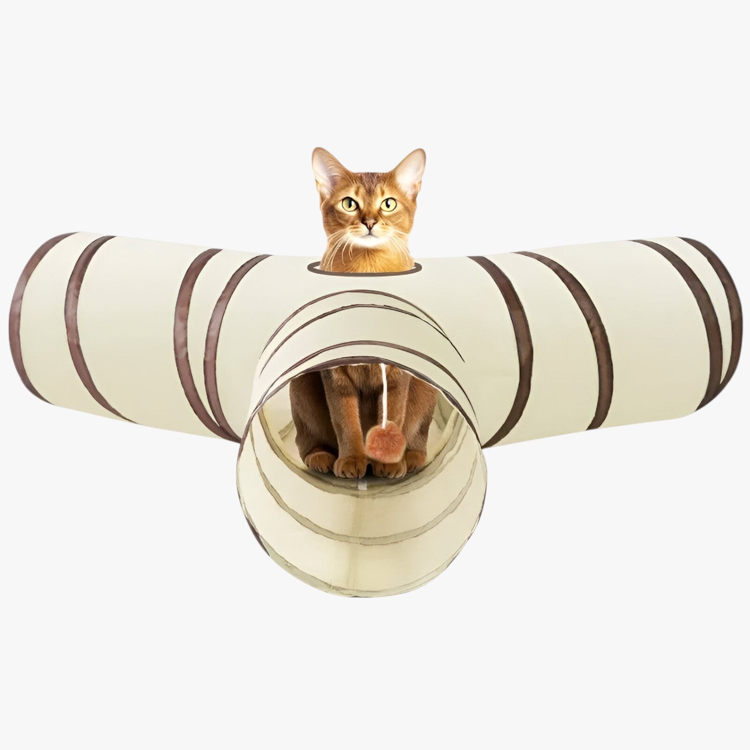Charlie | Tunnel Interattivo a T/Y per Gatti – Pieghevole, Divertente e Salvaspazio - - Pets toys - Concept Palermo