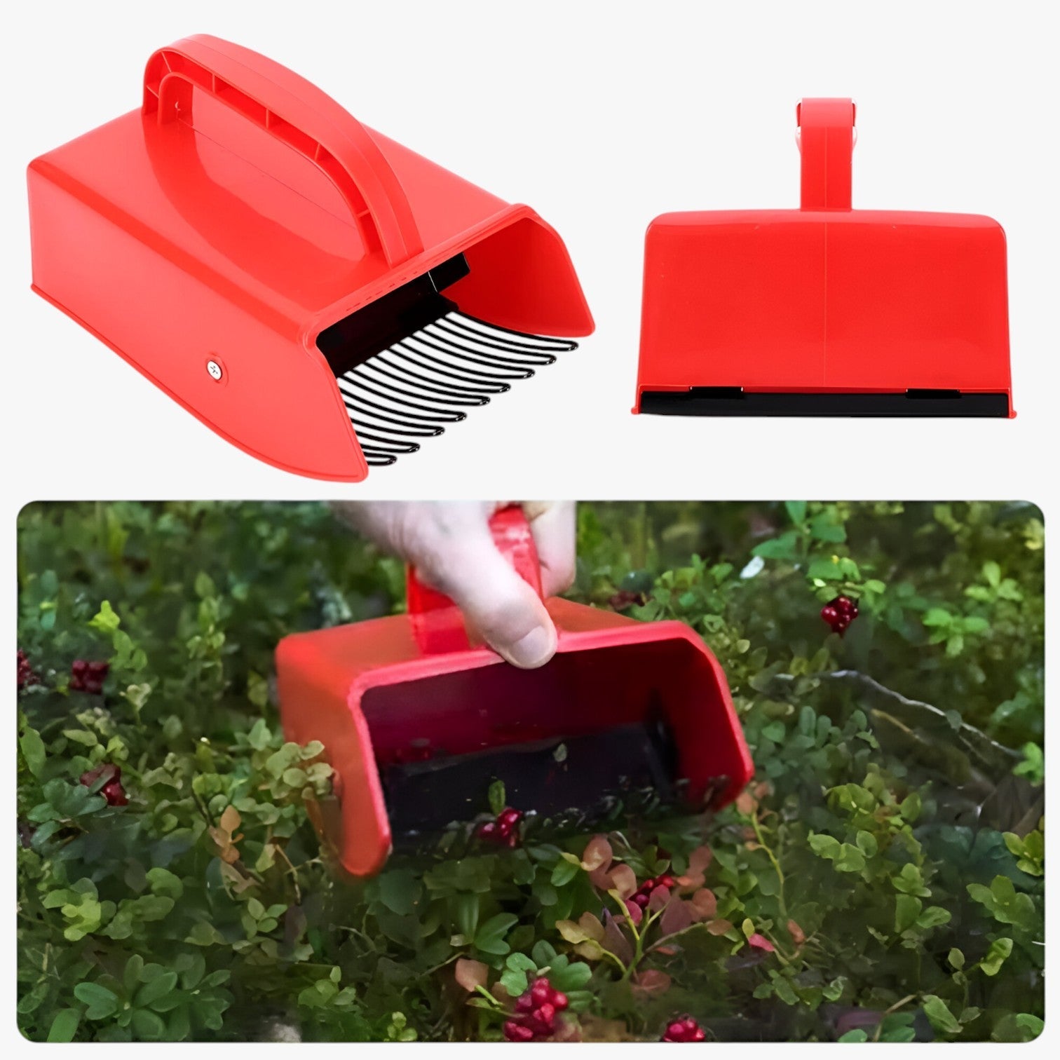 Tomir | Raccoglitore di bacche ergonomico – Raccogliere in modo veloce e senza sforzo - - Garden Garden accessories Garden supplies Home & Garden - Concept Palermo
