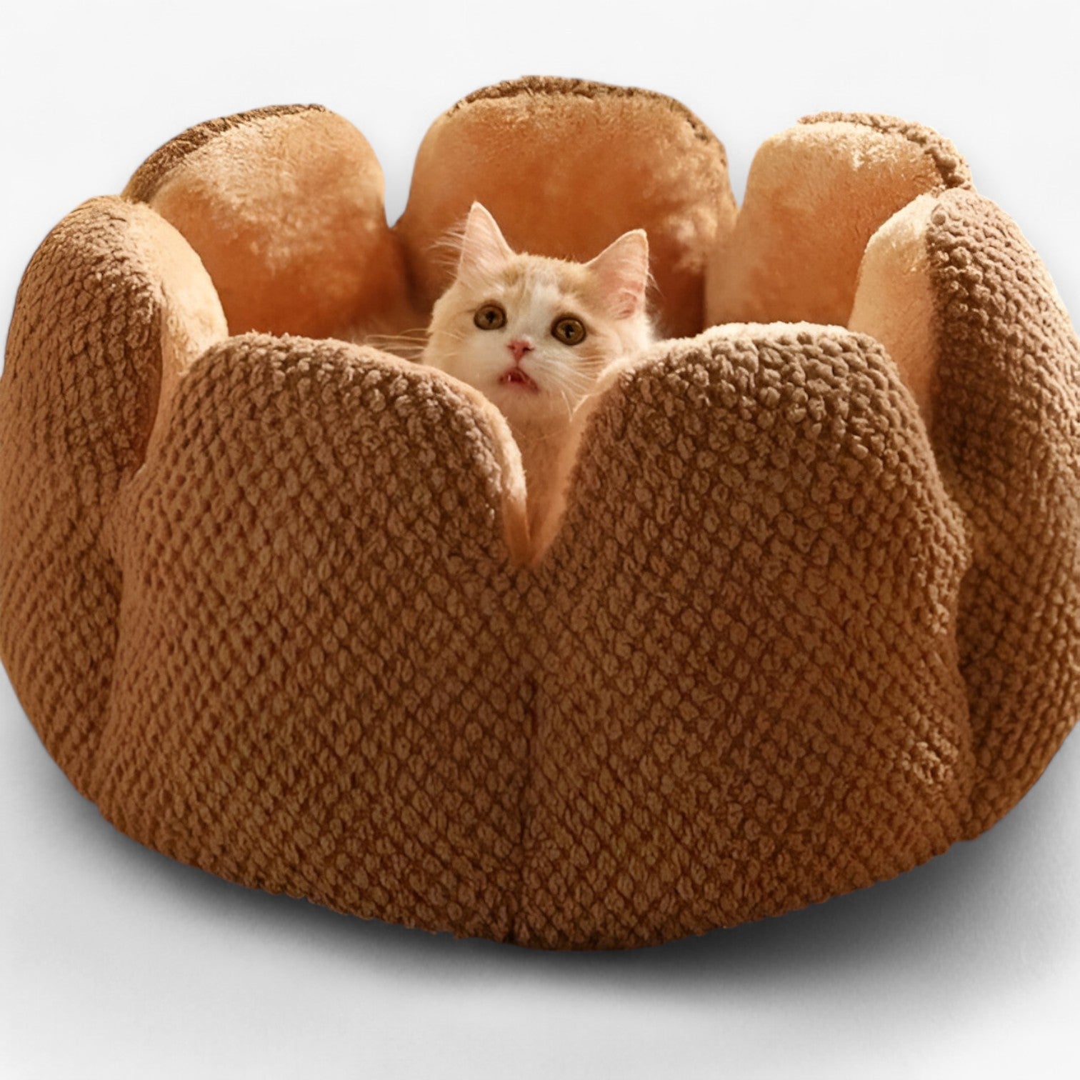 Addie | Fluffy Bloemhuis – Caldo & Accogliente per Gatti e Cuccioli - colore caffè - pet pet bed PET SUPPLIES - Concept Palermo