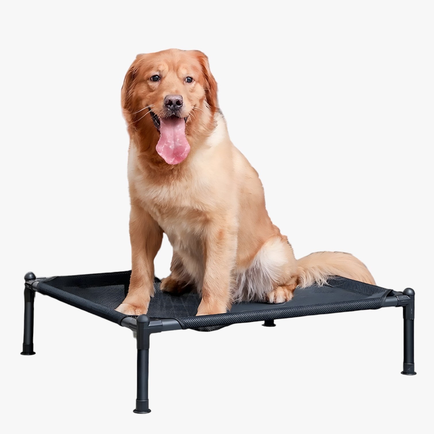 Lincoln | Letto portatile per animali domestici da esterno, pieghevole, lavabile e comodo da portare in viaggio - - pet pet beds PET SUPPLIES petproduct Pets - Concept Palermo