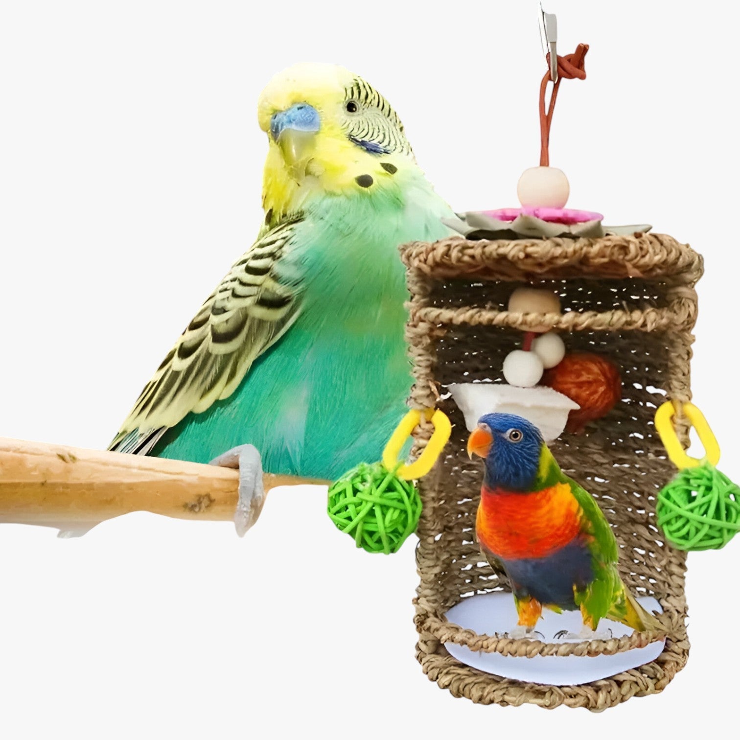 Carlos | Accogliente rifugio per uccelli – Spazio nido e gioco confortevole - - bird bird house birdproduct - Concept Palermo