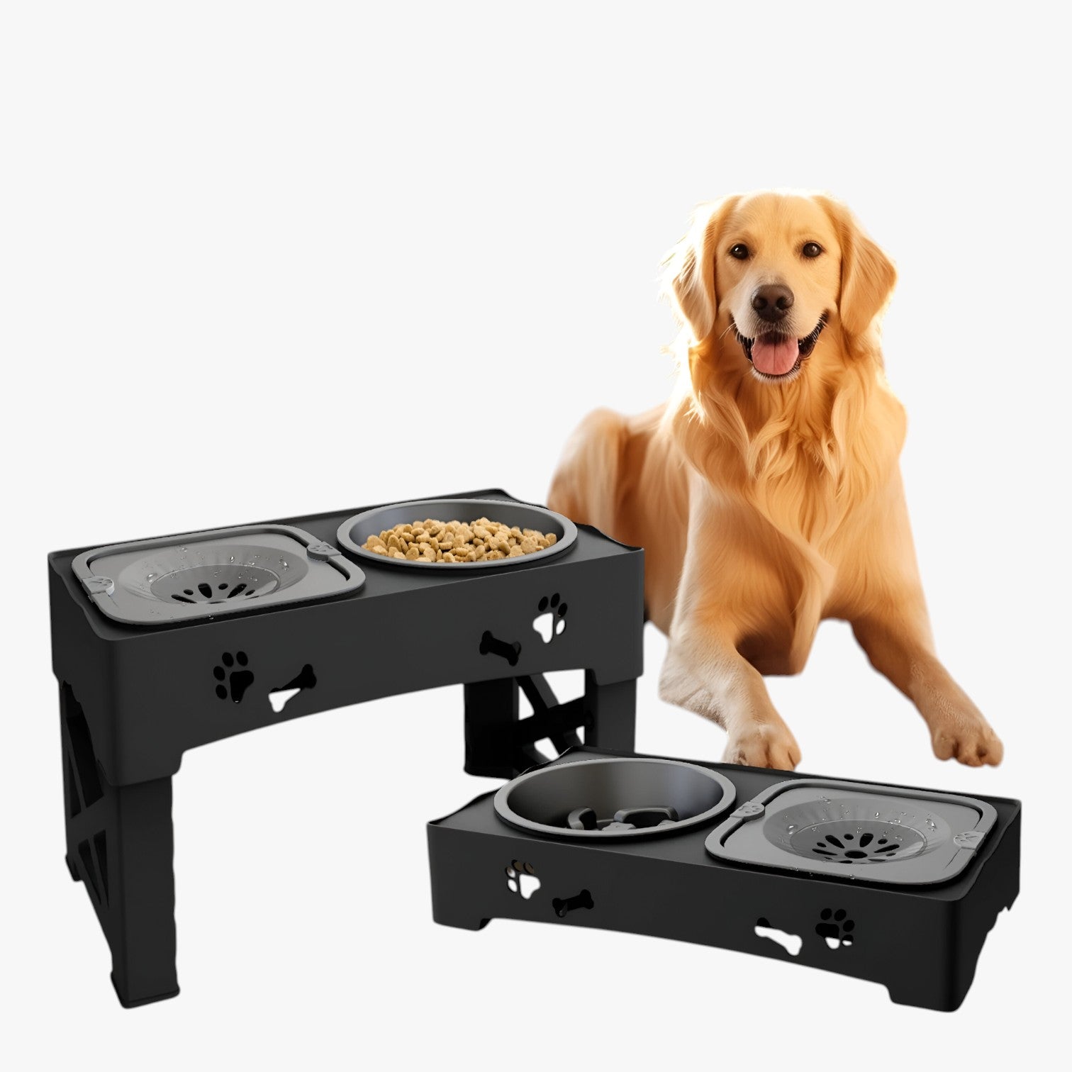 Logan | Ciotola 3 in 1 Regolabile Alimentazione lenta e comoda a ogni altezza - - pet PET SUPPLIES petproduct Pets - Concept Palermo