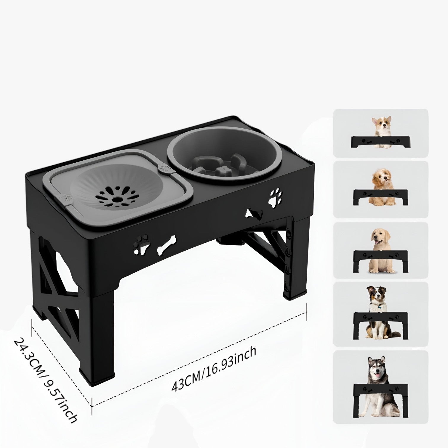 Logan | Ciotola 3 in 1 Regolabile Alimentazione lenta e comoda a ogni altezza - - pet PET SUPPLIES petproduct Pets - Concept Palermo