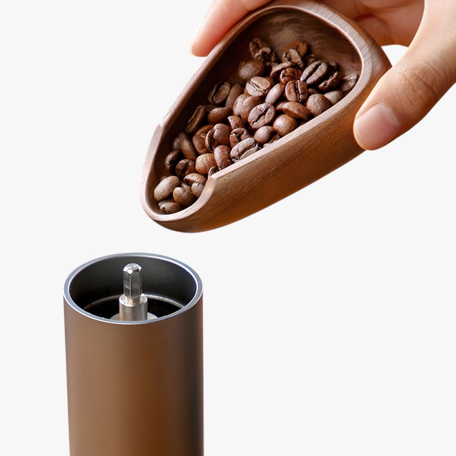 Chad | Tazza per dosare il caffè in noce – Misurazione precisa e design elegante - - Kitchen kitchen accessory kitchen tools - Concept Palermo