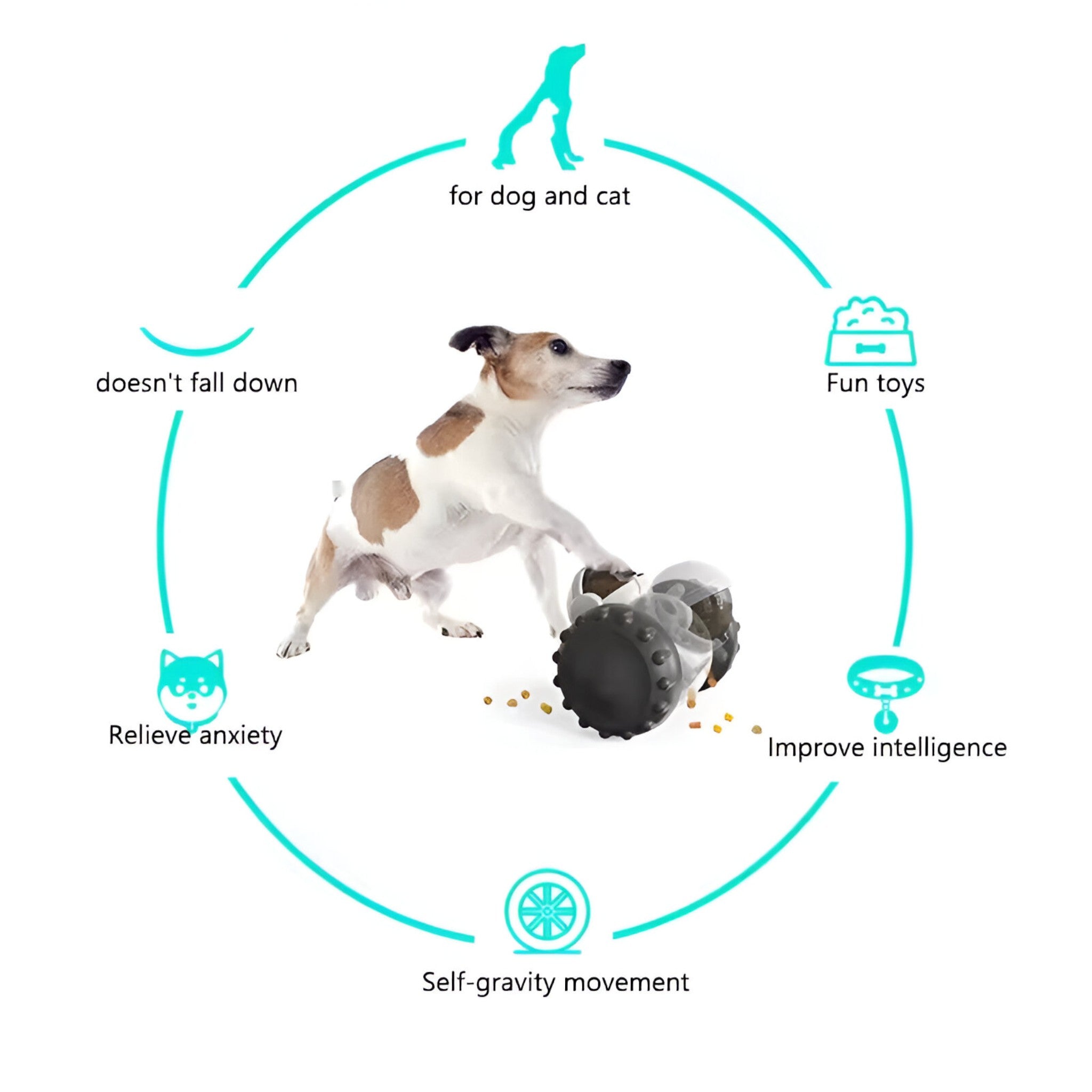 Buddy | Giocattolo Interattivo per Cani e Gatti con Dispenser di Cibo - - - Concept Palermo