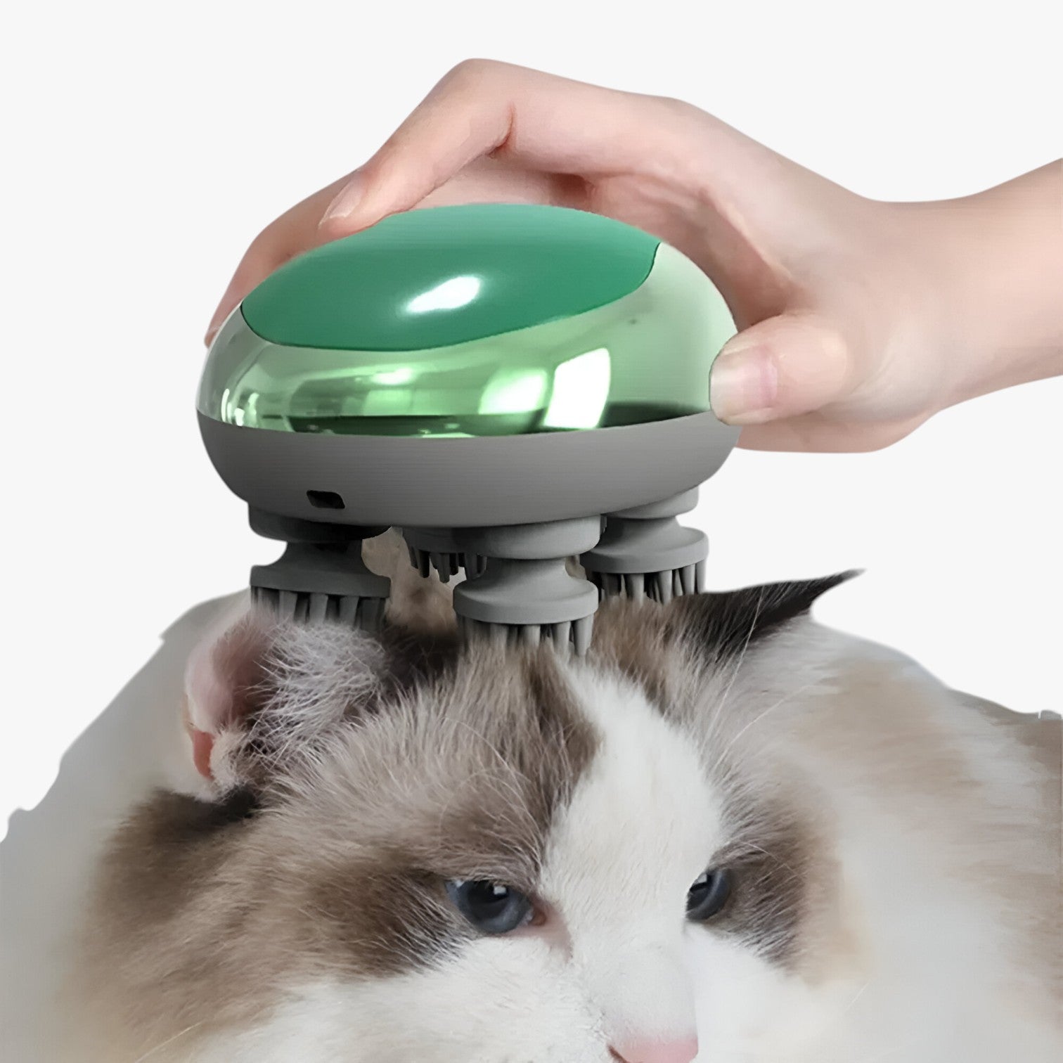 Kayden | Massaggi Profondi per Gatti e Cani Benessere a Portata di Zampa - - pet PET SUPPLIES petproduct - Concept Palermo