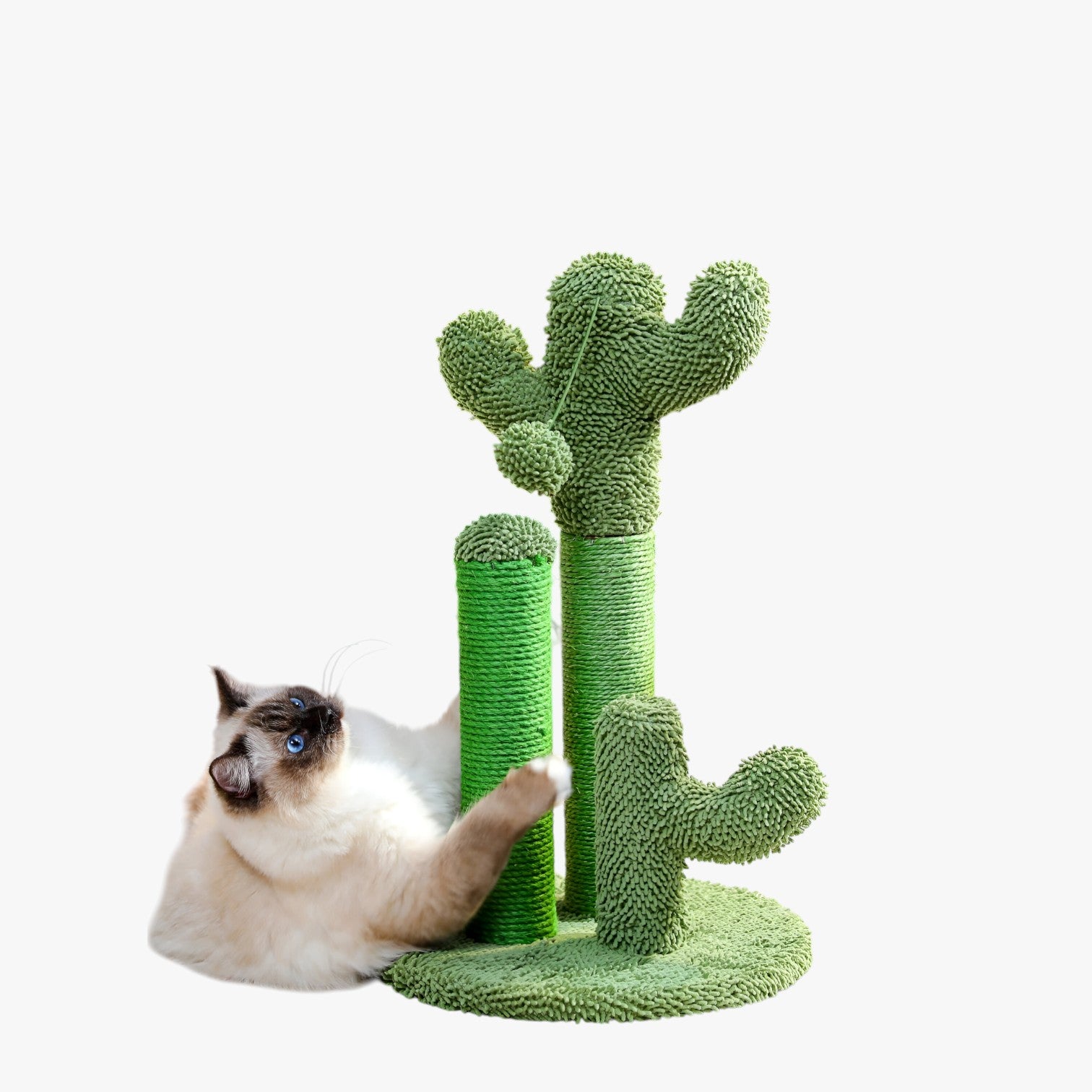 Mitzy | Cactus Scratch Fun Graffiatoio Interattivo a 3 Pali con Pallina Pendente - - pet PET SUPPLIES petproduct Pets - Concept Palermo
