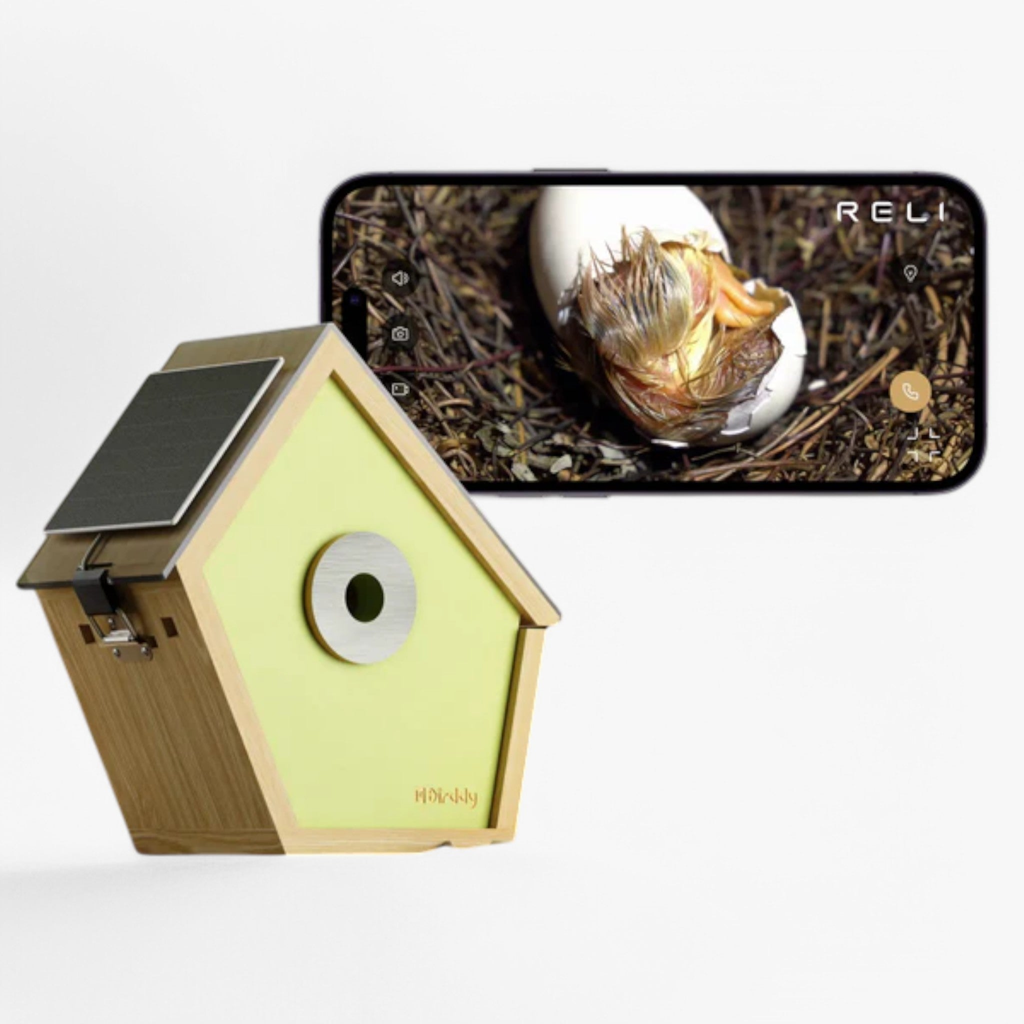 Reli Birddy | Casetta per Uccelli Slim con Tecnologia Avanzata - - bird house birdproduct - Concept Palermo