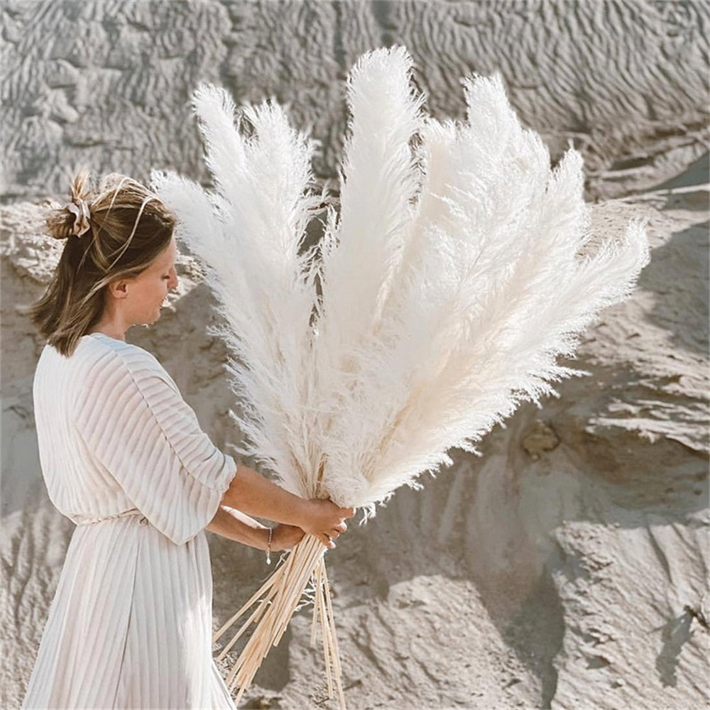 FeatherFawn - Fiori di pampa essiccati - Bianco - Decor home home decor - Concept Palermo