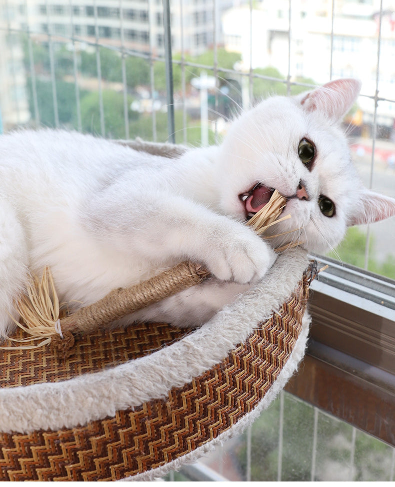 KittyBliss™ | Dai alla tua Gatta il Massimo Divertimento con il Grattatoio - - cat toys pet toys - Concept Palermo