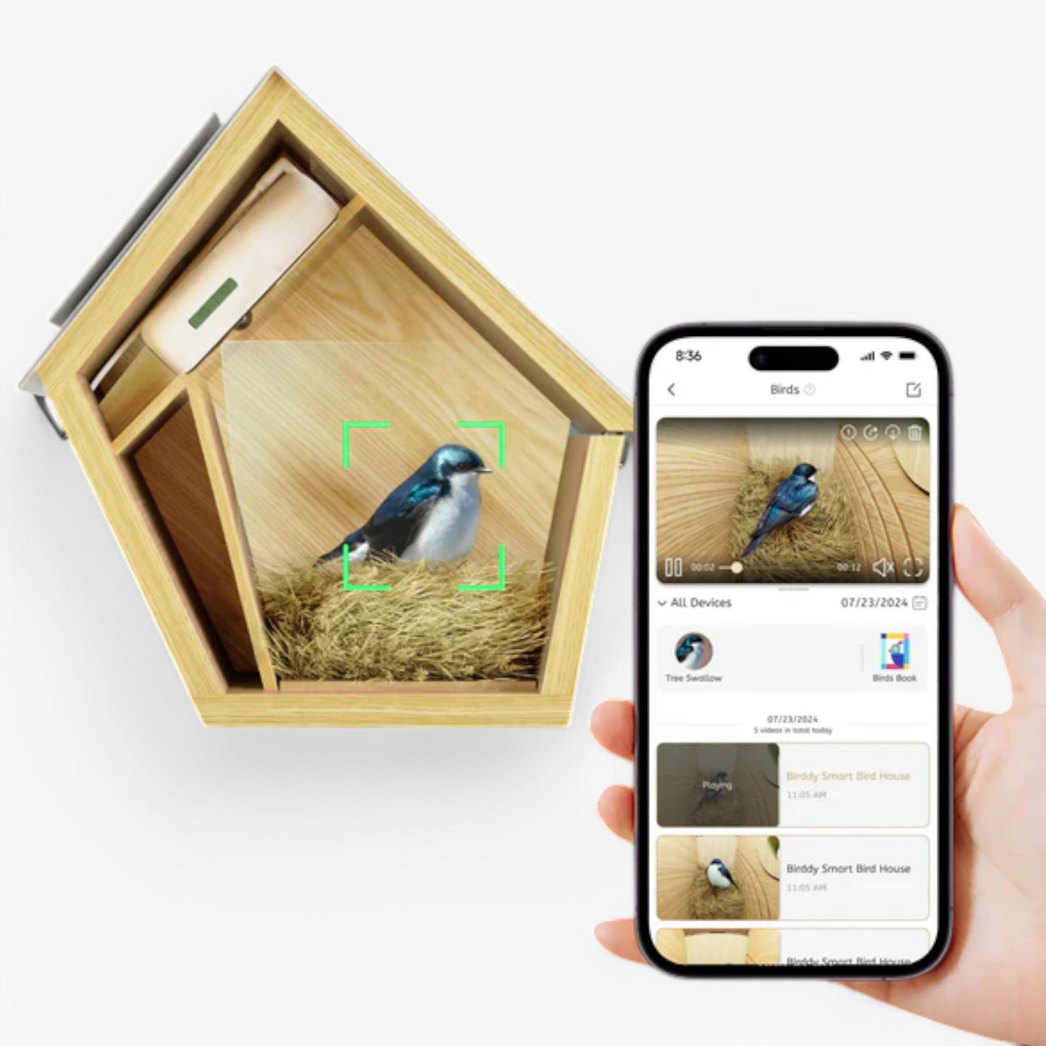 Reli Birddy | Casetta per Uccelli Slim con Tecnologia Avanzata - - bird house birdproduct - Concept Palermo