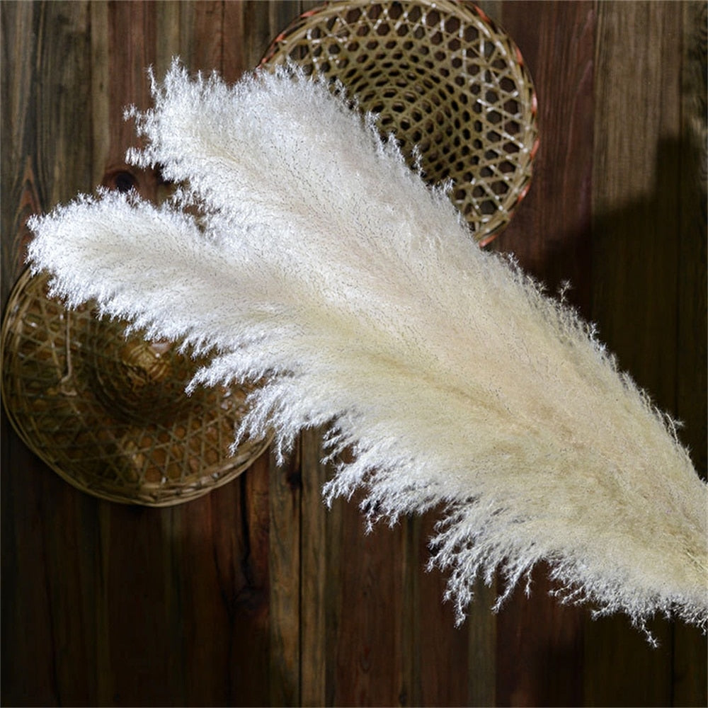 FeatherFawn - Fiori di pampa essiccati - - Decor home home decor - Concept Palermo