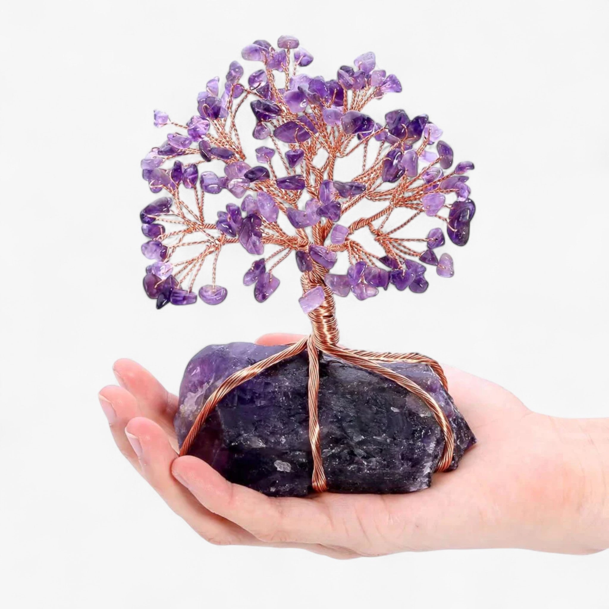 Decorazioni Bonsai Feng Shui - - bonsai decoration Decoration feng shui - Concept Palermo