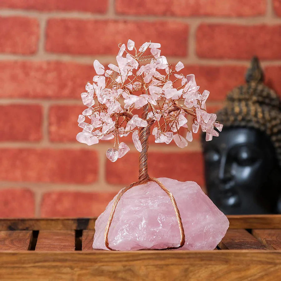 Decorazioni Bonsai Feng Shui - - bonsai decoration Decoration feng shui - Concept Palermo