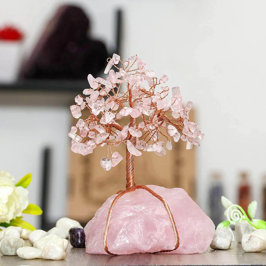 Decorazioni Bonsai Feng Shui - - bonsai decoration Decoration feng shui - Concept Palermo