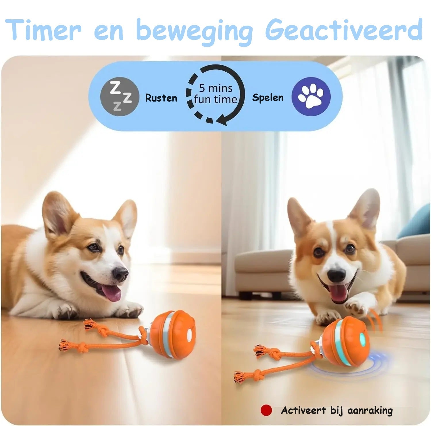 PupPlay™ | Divertimento forte e duraturo - - dog toys hondenspeelgoed kattenspeeltjes Plush Dog Toys speelgoed - Concept Palermo
