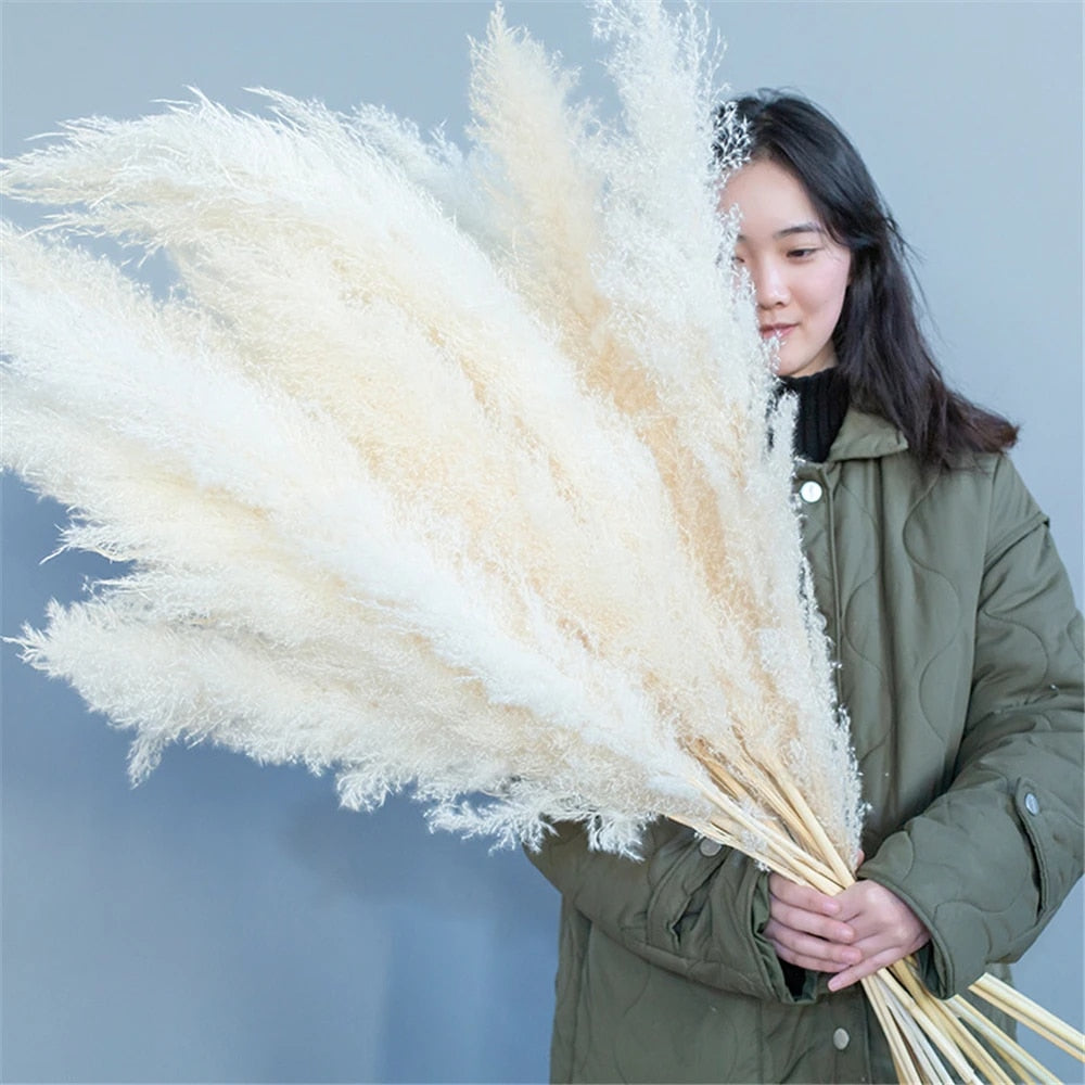 FeatherFawn - Fiori di pampa essiccati - - Decor home home decor - Concept Palermo