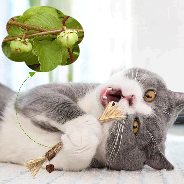 KittyBliss™ | Dai alla tua Gatta il Massimo Divertimento con il Grattatoio - - cat toys pet toys - Concept Palermo