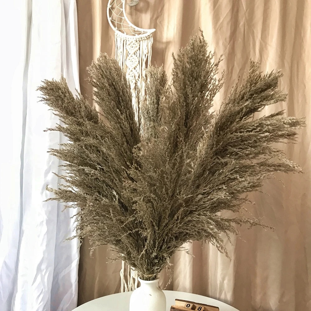 FeatherFawn - Fiori di pampa essiccati - Marrone grigio naturale - Decor home home decor - Concept Palermo