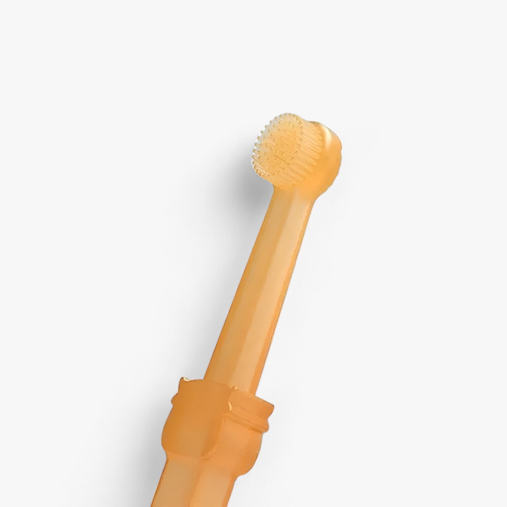 Fido | Spazzola per toelettatura per cani e gatti - Raschietto in silicone morbido con spazzola in plastica resistente - - - Concept Palermo