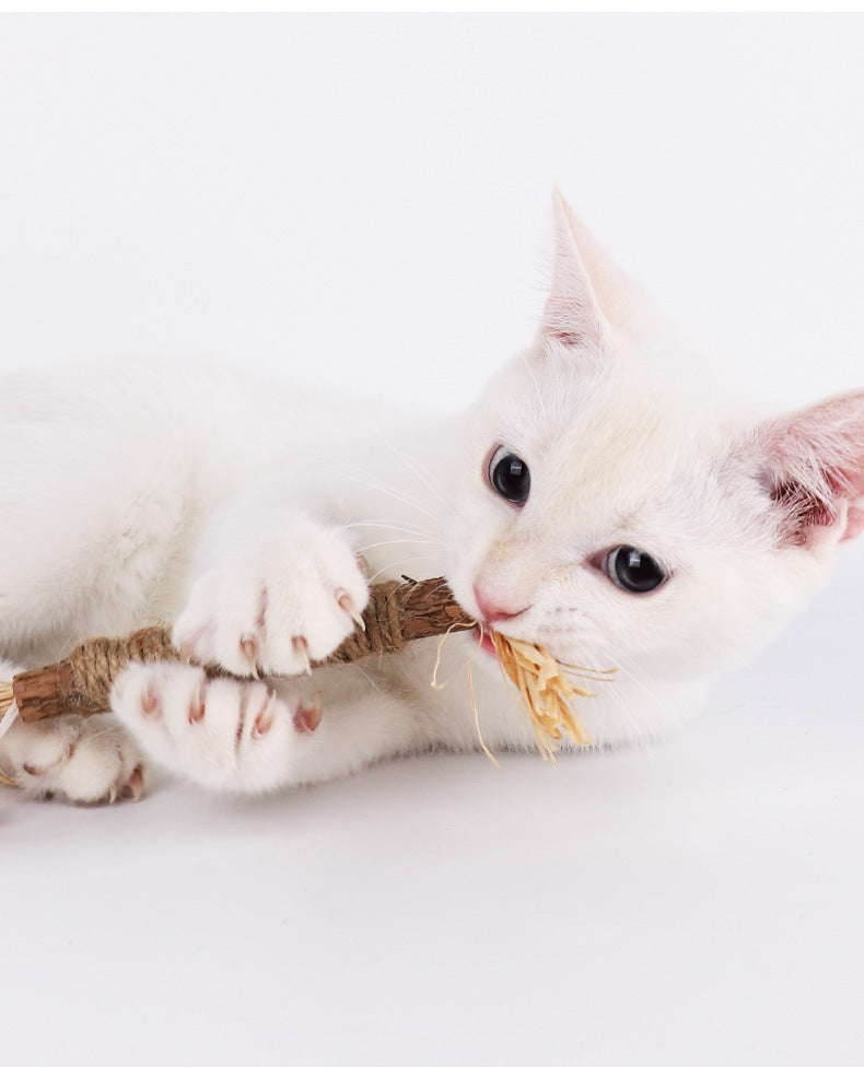 KittyBliss™ | Dai alla tua Gatta il Massimo Divertimento con il Grattatoio - - cat toys pet toys - Concept Palermo