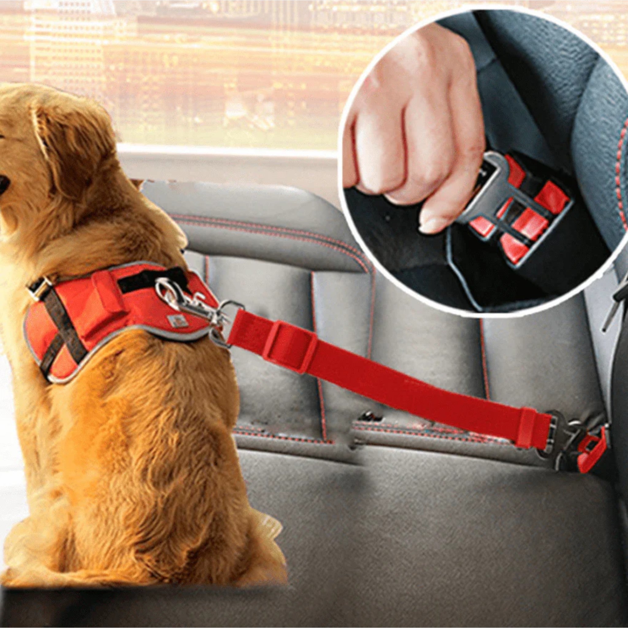 Cintura di sicurezza per cani | Anche il tuo quadrupede ora si trova al sicuro in auto! - - car seatbelt dog car seatbelt - Concept Palermo
