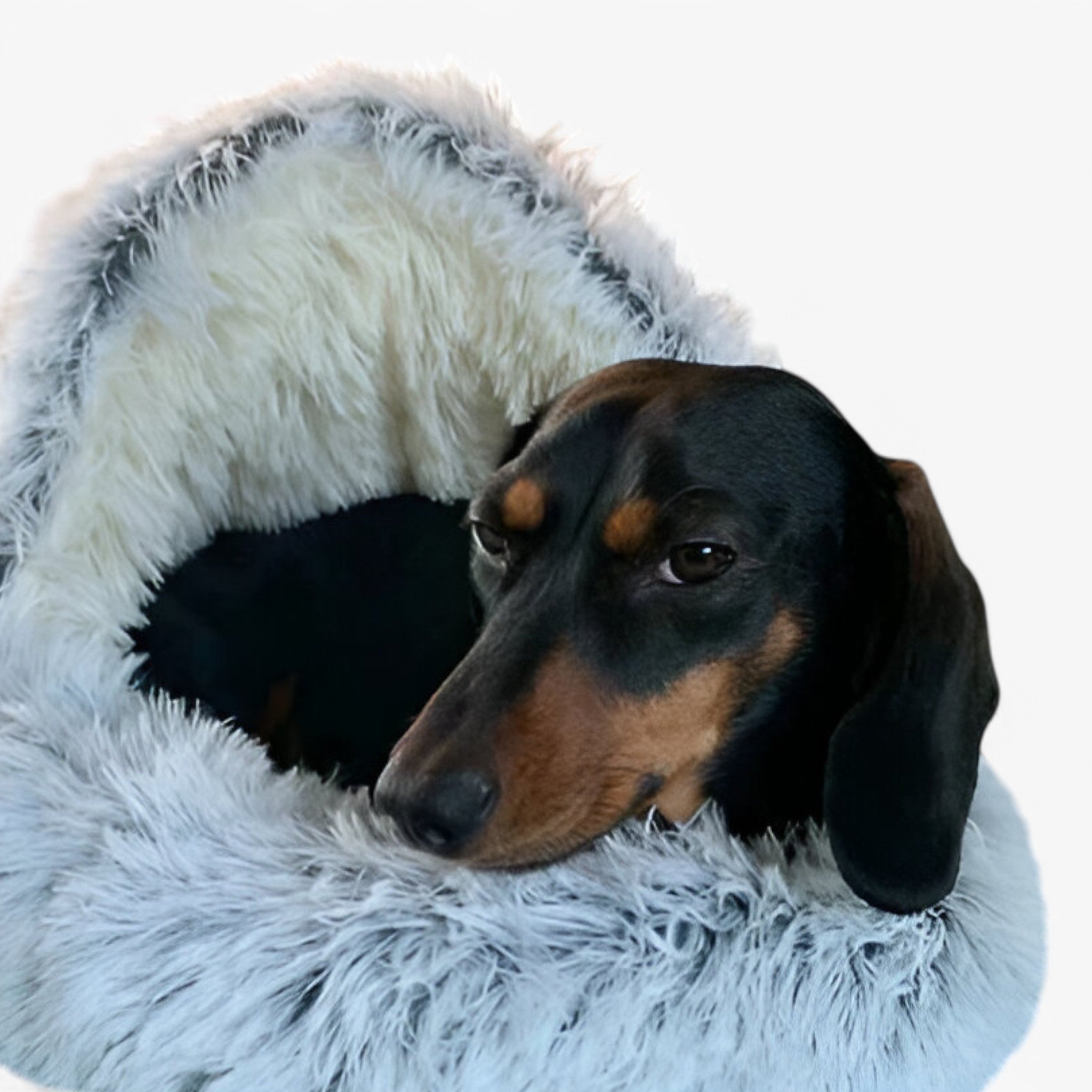 CozyNest™ | Letto per animali domestici - - Old (Google) old_google - Concept Palermo