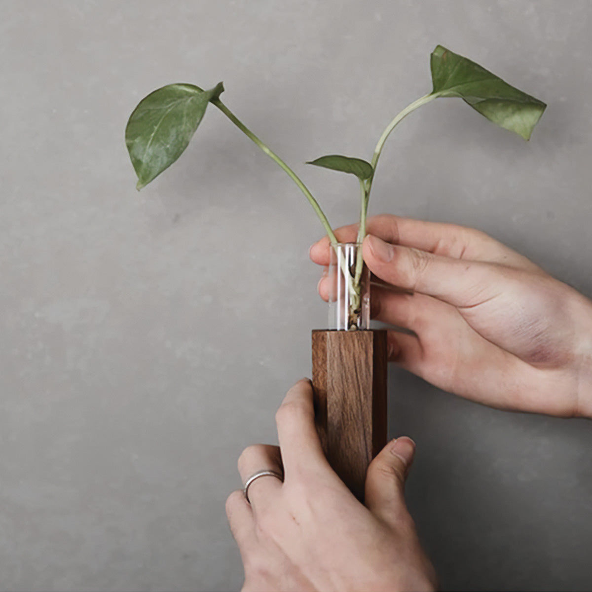 Eleganti Vasi a Flute Verticali per Fiori da Parete | Stile di Decorazione con Piante - - Decor Vases Wall decoration - Concept Palermo