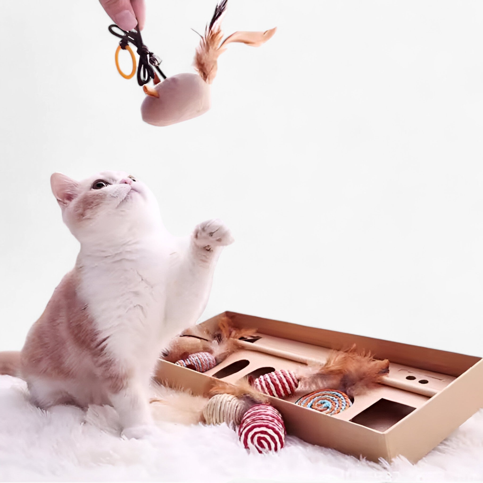 Milo | Set di Bacchette Interattive in Legno per Gatti con Molla - - - Concept Palermo