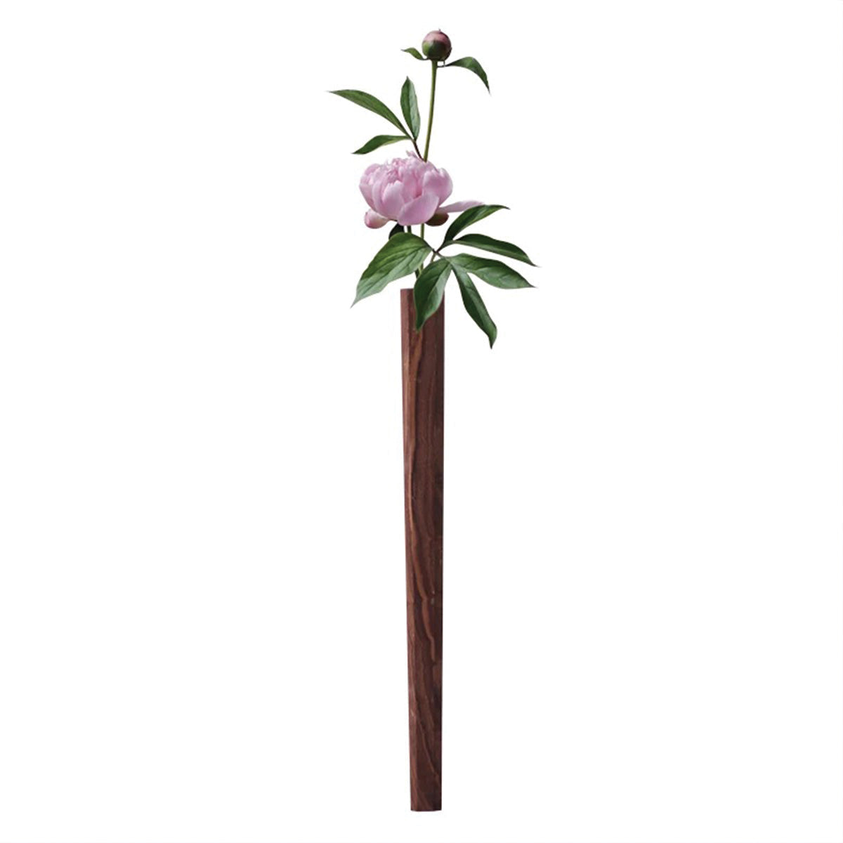 Eleganti Vasi a Flute Verticali per Fiori da Parete | Stile di Decorazione con Piante - Valnød - Decor Vases Wall decoration - Concept Palermo