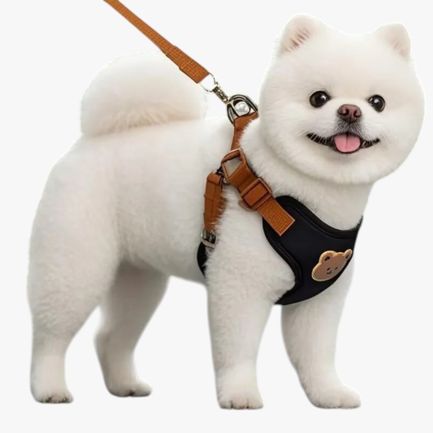 Navy | Pettorina Traspirante con Guinzaglio per Piccoli Animali - - pet petproduct Pets - Concept Palermo