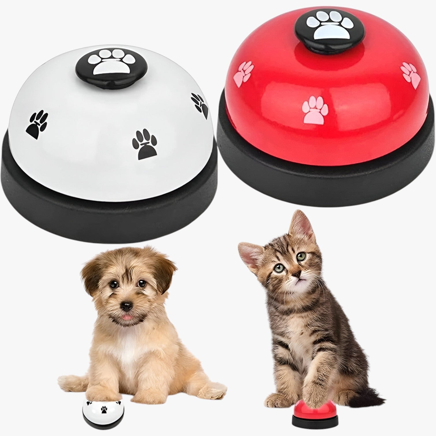 Cordelia | Allenatore per Animali Domestici Promemoria di Ora di Pasti & Divertimento Interattivo - - animali domestici - Concept Palermo