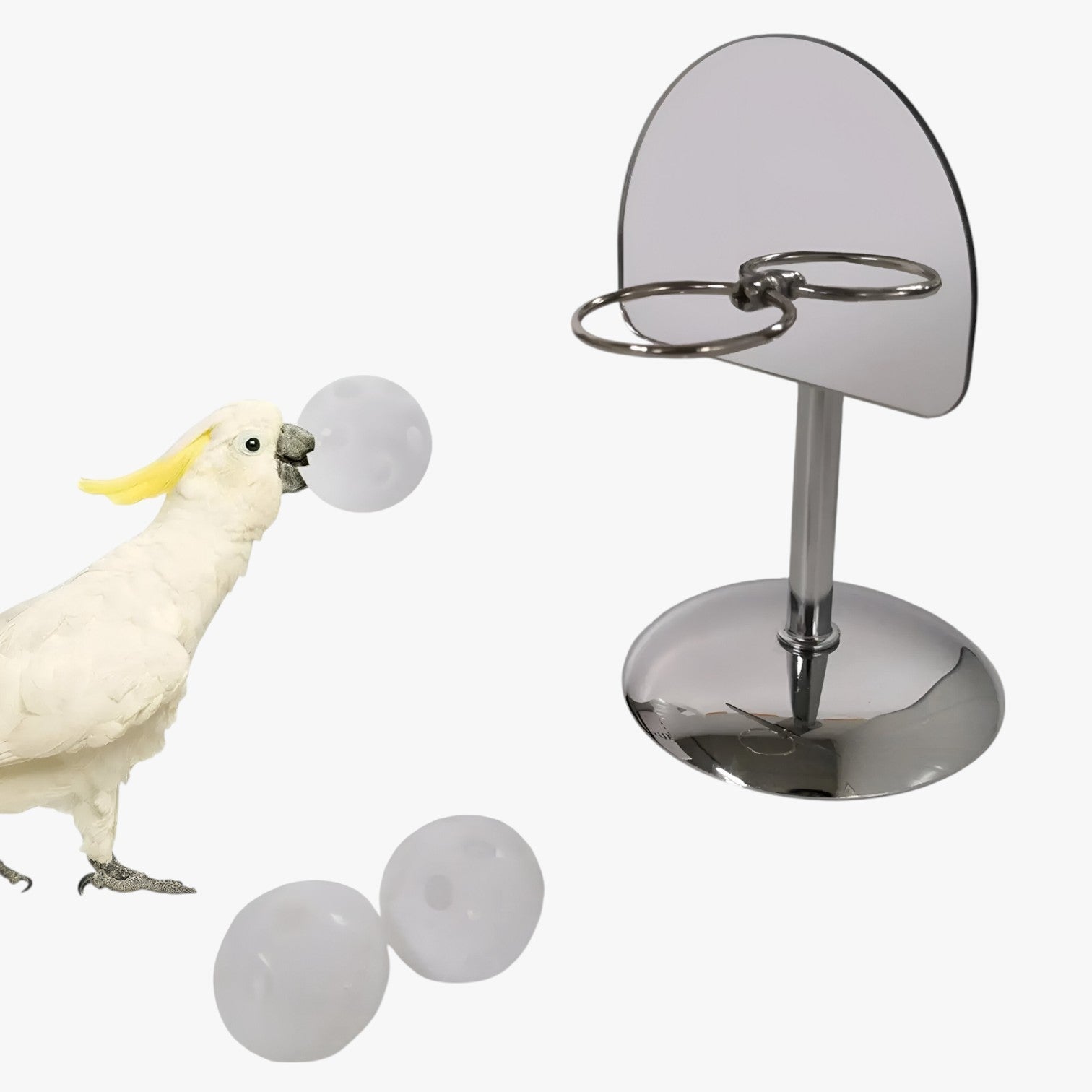 Alejandro | Train & Play - Gioco per pappagalli slim per uccelli intelligenti - - bird bird toys birdproduct - Concept Palermo