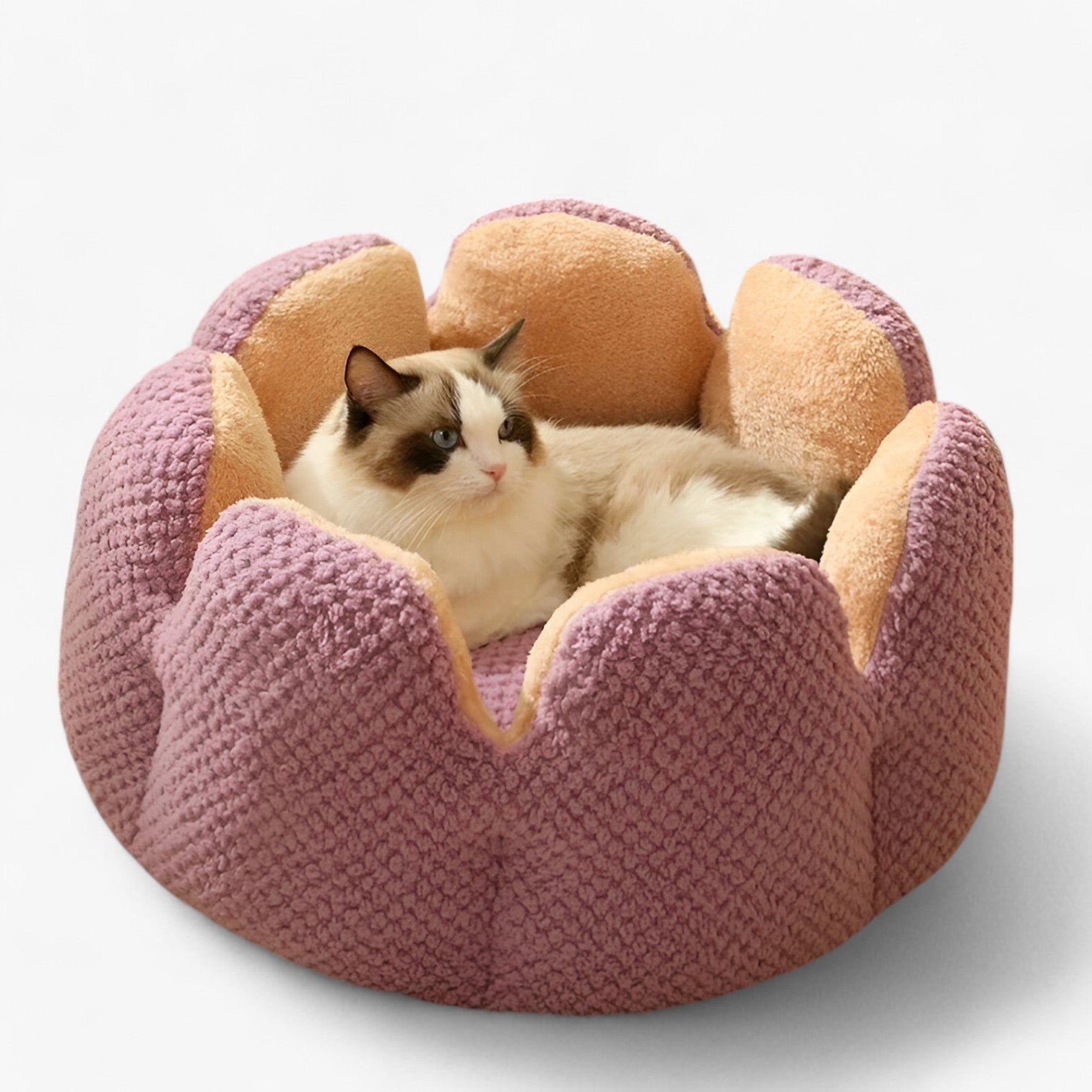 Addie | Fluffy Bloemhuis – Caldo & Accogliente per Gatti e Cuccioli - - pet pet bed PET SUPPLIES - Concept Palermo