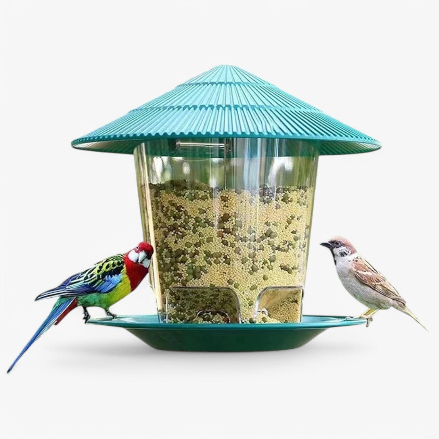 Darby | Porta cibo per uccelli - Facile da riempire e attrae gli uccelli - - pet pet accessories PET SUPPLIES - Concept Palermo