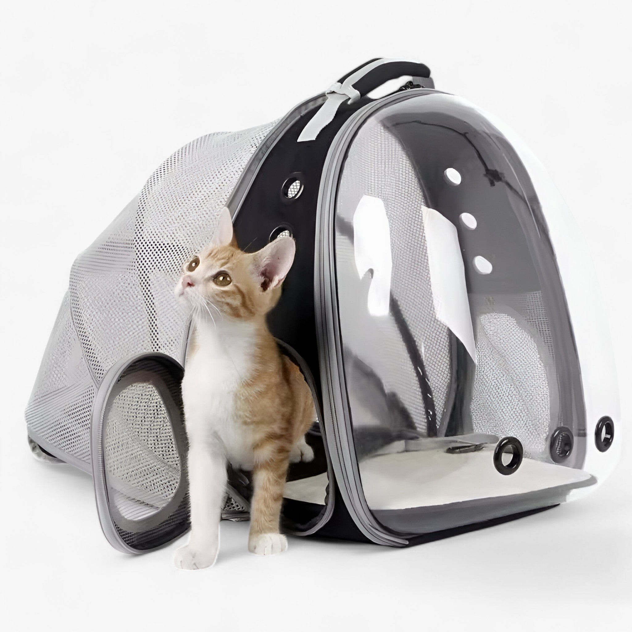 Luna | Zaino per gatti astronauta spazioso con finestra a bolla - - - Concept Palermo