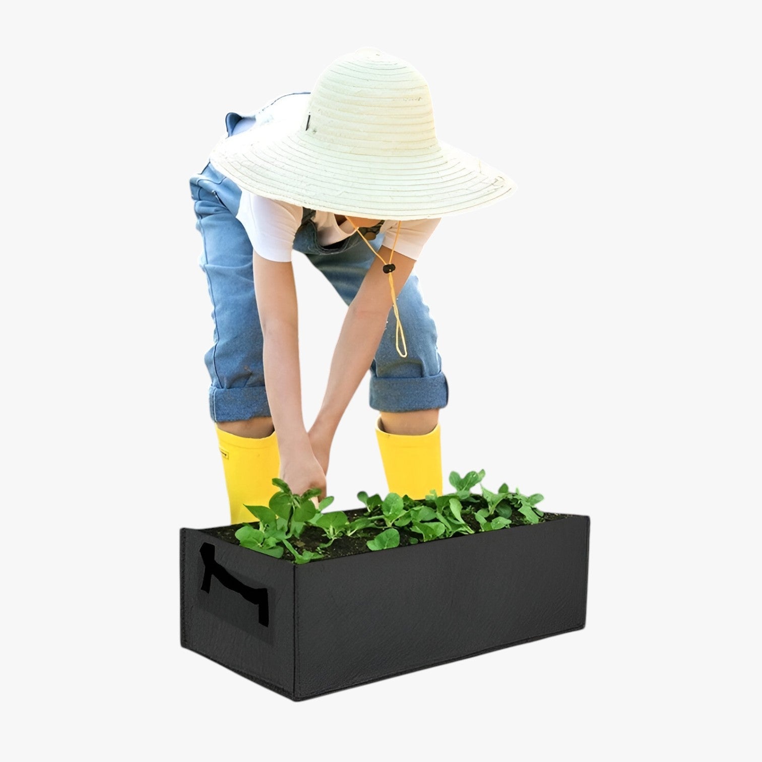 Robyn | Sacchetto per la Crescita da Gallone – Spazio-risparmiatore, durevole e sana crescita delle piante - - Garden Garden supplies Home & Garden - Concept Palermo
